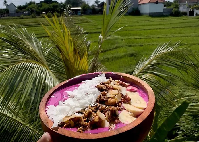 Albergue Sepeda Canggu