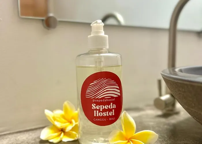 Sepeda * チャングー